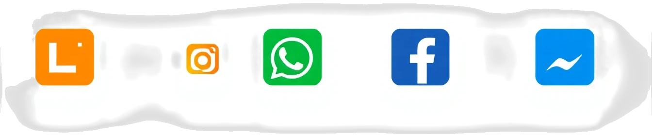 Ícones de Redes Sociais: LinkedIn, Instagram, Facebook, WhatsApp